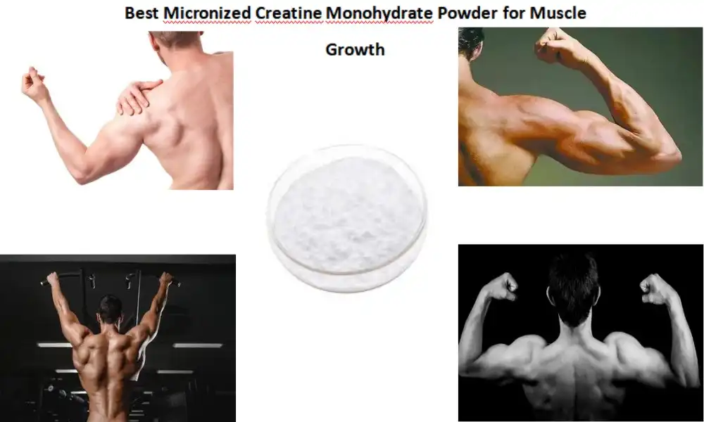 Best Micronized Creatine Monohydrate Powder for Muscle Growth